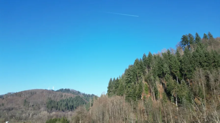 Ausblick vom zukünftigen Laubengang (Treppenhaus)