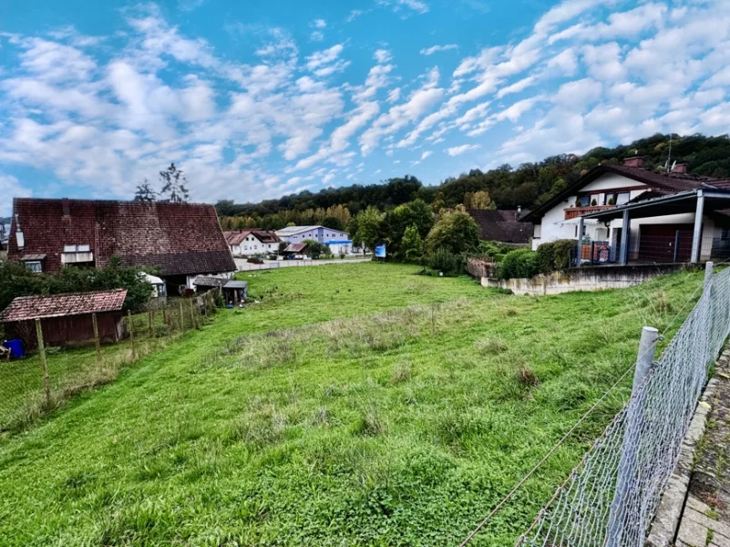 Blick Grundstück - Grundstück kaufen in Wehr - Bauplatz - Einfamilien- oder Mehrfamilienhaus -  zentrumsnah & ruhig gelegen - Im Dörfle