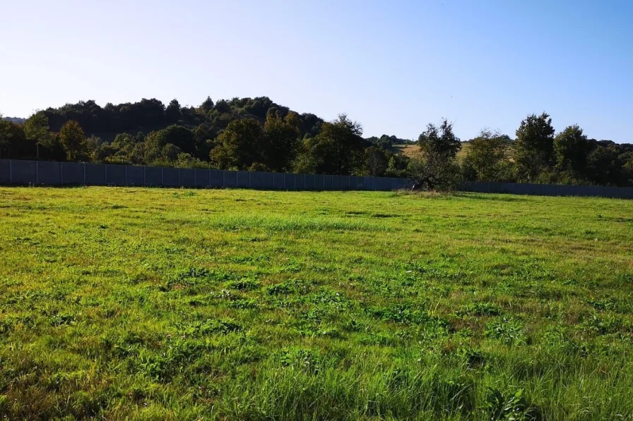 Blick Richtung Westen bearb - Grundstück kaufen in Caransebes - 8.8 ha Baugrundstück parzelliert bei Caransebes