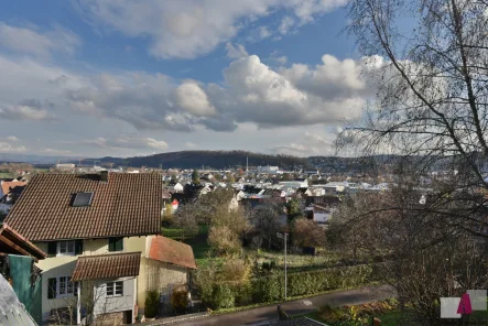 Weiter Ausblick - Haus kaufen in Lörrach - Einfamilienhaus in Top-Aussichtslage