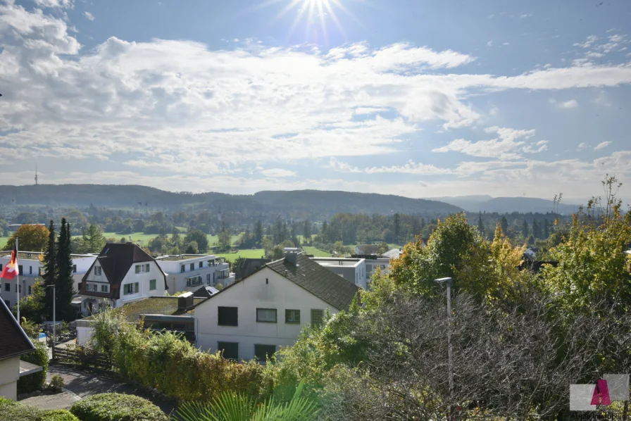 Ausblick pur - Haus kaufen in Weil am Rhein - Wohnen in bester Lage mit Traumblick über in Weil am Rhein