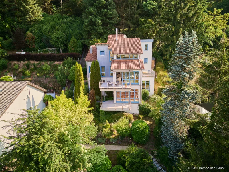 Die Lage machts! - Haus kaufen in Neckargerach - Neckargerach: Einzigartige Villa mit atemberaubendem Neckarblick