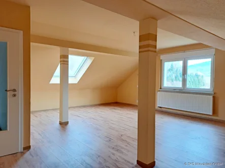 Großzügiges Wohnzimmer - Wohnung mieten in Schönbrunn / Allemühl - Gemütliche 3 Zimmer - Maisonettewohnung in Schönbrunn / Allemühl!