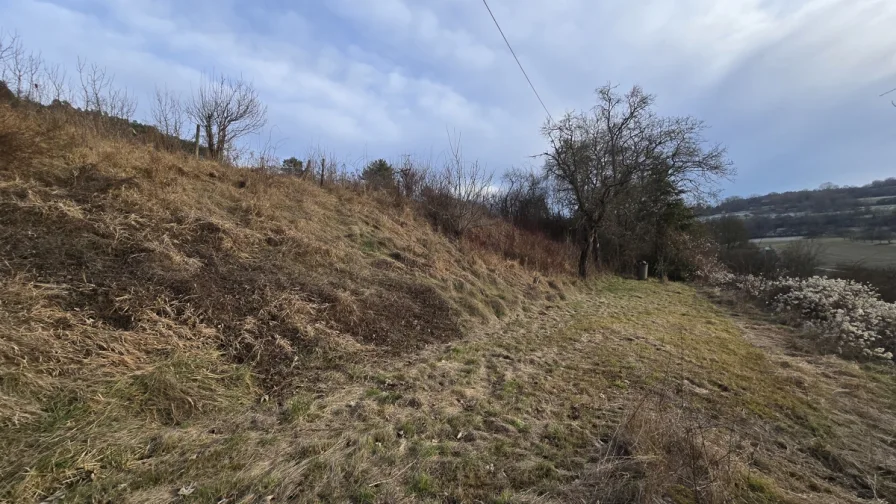 Grundstück hinter dem Haus