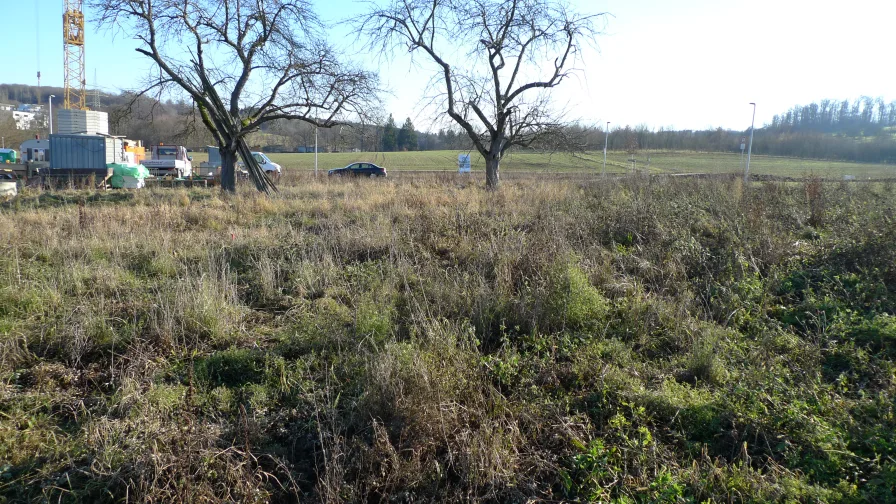 Bauplatz - Grundstück kaufen in Hochdorf - Bieterverfahren: Grundstück für EFH oder DH in Hochdorf zu verkaufen