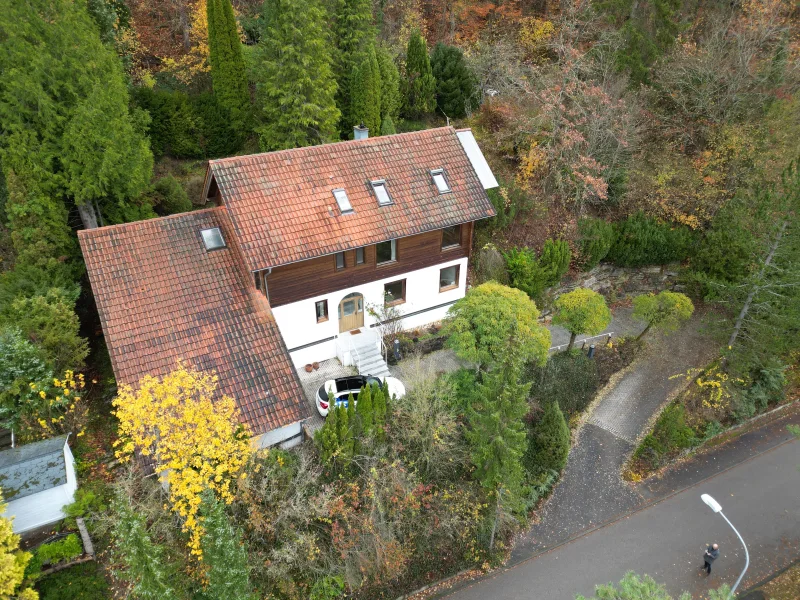 Eine Liebe fürs Leben - Haus kaufen in Horb  - Ein Liebe fürs Leben. Familienwohnhaus auf großem, grünen Grundstück mit Baumbestand. Natur pur.