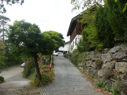 Auffahrt ins Wohnparadies - Haus kaufen in Horb  - R E S E R V I E R T ! ! ! Aussicht-Wald-Ruhe-Familienoase in der Natur mit großem Grundstück für die ganze Familie.