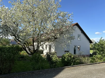 Aussenansicht - Haus kaufen in Biberach an der Riß - 360° I Einfamilienhaus mit Einliegerwohnung & hübschen Garten nahe Biberach