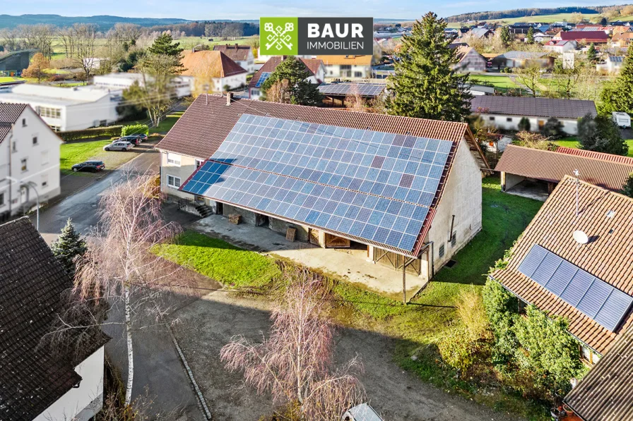 Titelbild - Haus kaufen in Riedhausen - 360° | Sofort bezugsfrei! Bauernhof mit Ökonomiegebäude, Nebengebäuden und großem Grundstück in Riedhausen