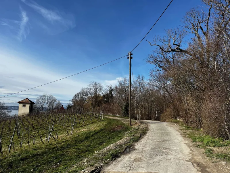 Es sind herrliche Spazierwege vom Haus weg 