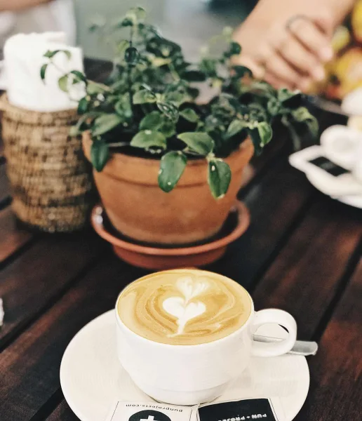  für die Kaffee-Stunden in der Sonne 