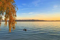 Der See ist fußläufig erreichbar 