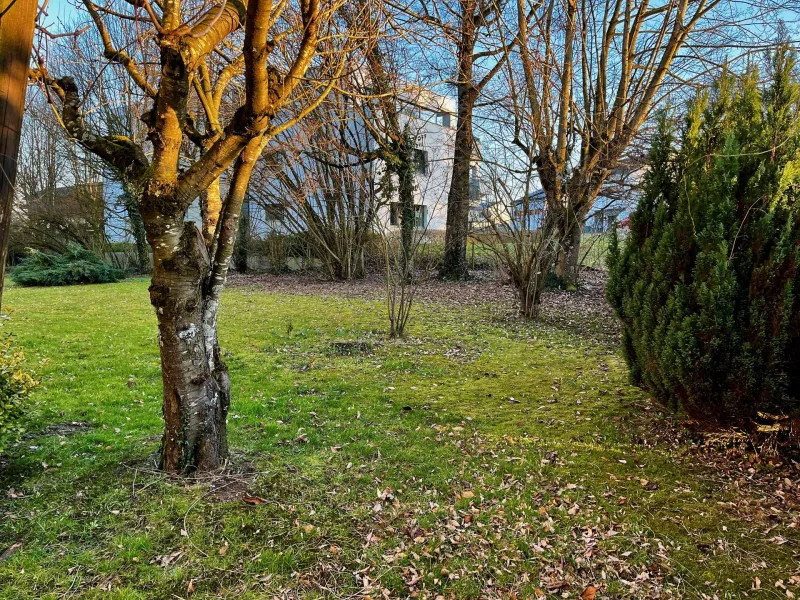 und in den Garten des Hauses