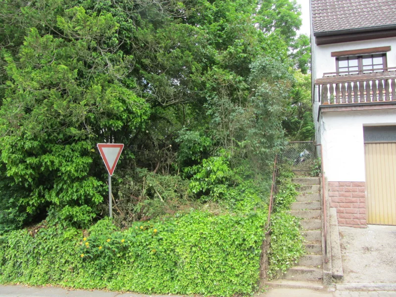 Straßenansicht - Grundstück kaufen in Neckargemünd - Vielseitig nutzbare Baulücke
