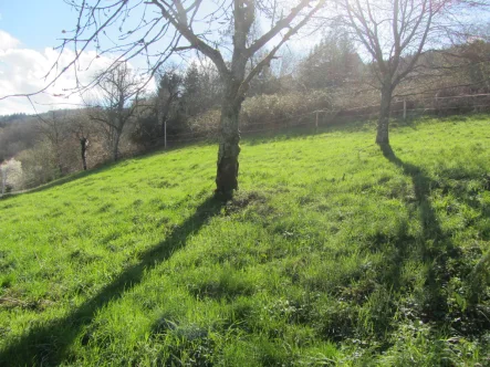 Grundstück - Grundstück kaufen in Eberbach / Friedrichsdorf - Großzügiger Baugrund in Friedrichsdorf