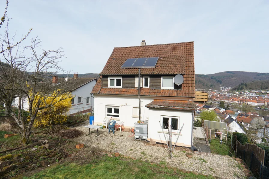 Außenansicht - Haus kaufen in Eberbach - Charmantes 1-Familienhaus in Neckarwimmersbach mit toller Aussicht