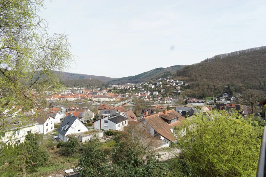 Ausblick - Haus kaufen in Eberbach - Charmantes 1-Familienhaus in Neckarwimmersbach mit toller Aussicht