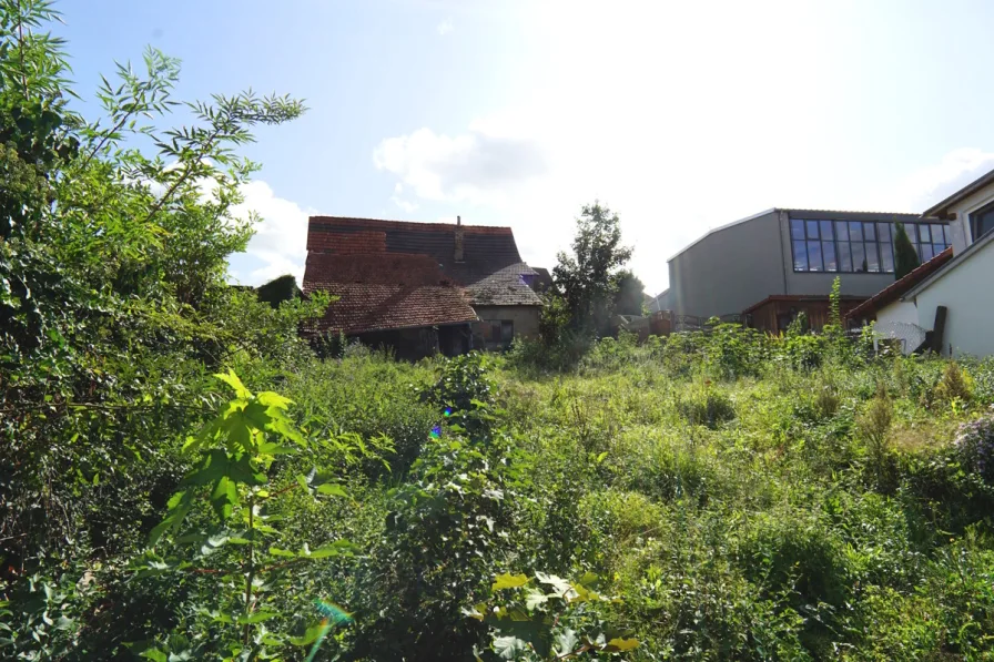 Ansicht Grundstück - Grundstück kaufen in Neidenstein - Abrissgrundstück in zentraler Lage von Neidenstein