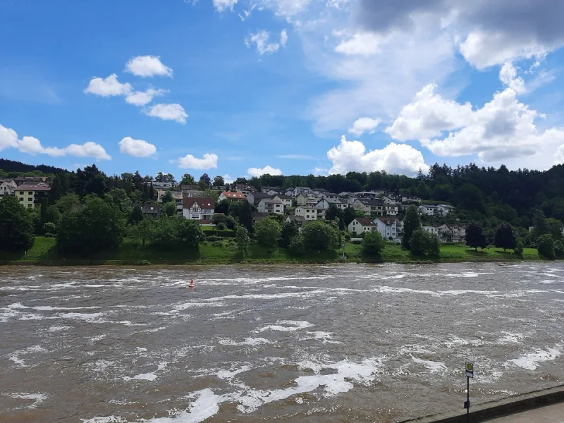 Ausblick - Haus kaufen in Hirschhorn - Charmantes Häuschen mit herrlichem Neckarblick