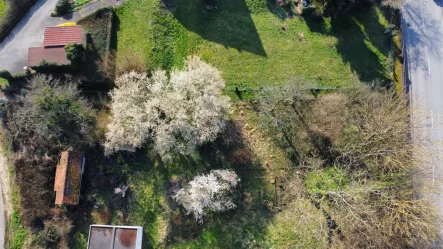 Ansicht Grundstück - Grundstück kaufen in Epfenbach - Zwei benachbarte Grundstücke in Epfenbach