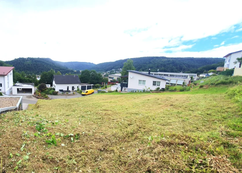 Aussicht - Grundstück kaufen in Neckargerach - Sonniges Baugrundstück in schöner Aussichtslage