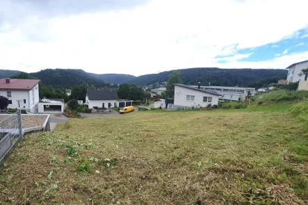 Aussicht auf die "Minneburg" - Grundstück kaufen in Neckargerach - Sonniges Baugrundstück in schöner Aussichtslage