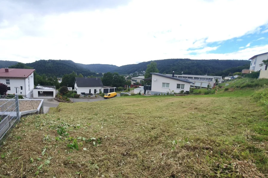 Aussicht auf die "Minneburg" - Grundstück kaufen in Neckargerach - Sonniges Baugrundstück in schöner Aussichtslage