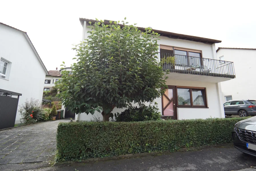 Straßenansicht - Haus kaufen in Hirschhorn - Gepflegtes 2-Familienhaus mit tollem Schlossblick!