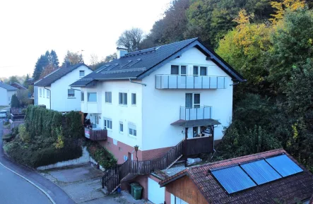 Außenansicht - Haus kaufen in Meckesheim / Mönchzell - Mehrfamilienhaus mit einem tollen Garten am Waldrand!