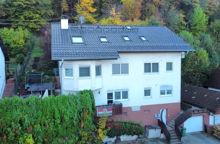 Außenansicht - Haus kaufen in Meckesheim / Mönchzell - Energieoptimiertes und vielseitig nutzbares Ein- bis Dreifamilienhaus in ruhiger Ortsrandlage!