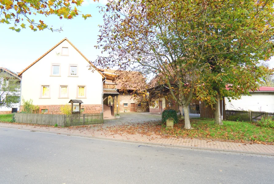 Gesamtansicht - Haus kaufen in Neunkirchen - Ein Anwesen mit viel Platz zum Wohnen, Arbeiten und Unterstellen!