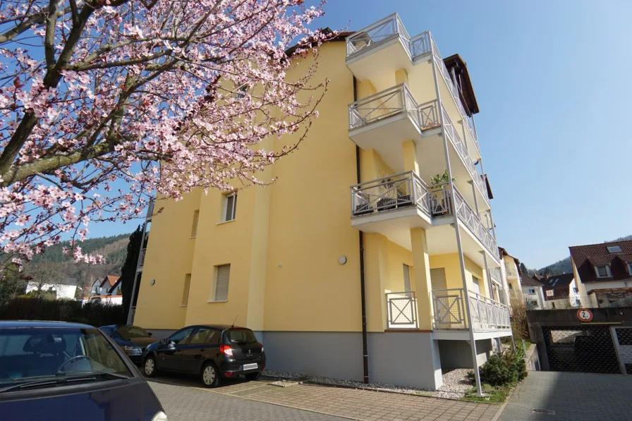 Außenansicht - Wohnung mieten in Eberbach - Moderne 3-Zimmer-Wohnung in zentrumsnaher Lage