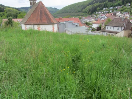 Grundstück - Grundstück kaufen in Neckargerach - Sonniges Baugrundstück in Neckargerach