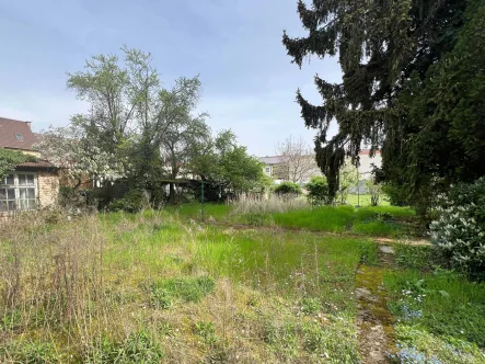 Garten - Grundstück kaufen in Hockenheim - Zentral gelegenes Abrissgrundstück für großzügige Bebauung in Hockenheim