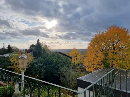 Ausblick - Haus kaufen in Leimen - Freistehendes EFH mit 2 Einliegerwohnungen und tollem Blick über Leimen und in die Rheinebene