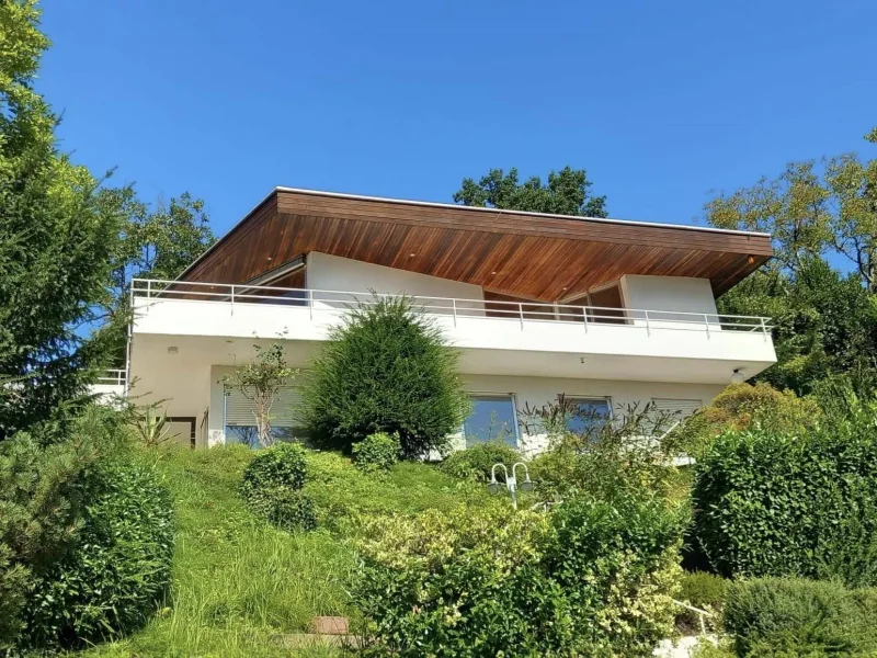 Hausansicht - Haus kaufen in Heidelberg - HD-Ziegelhausen - Großzügiges EFH mit außergewöhnlicher Architekturin unverbaubarer Aussichtslage