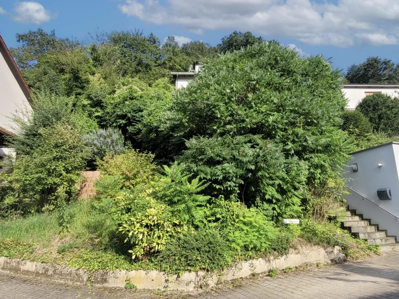 Grundstücksansicht - Grundstück kaufen in Wiesenbach - Großzügigs Baugrundstück für Doppelhaushälfte in Hanglage von Wiesenbach mit tollem Ausblick