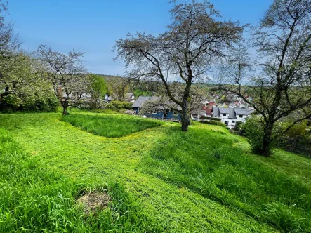 Garten Blickrichtung Haus - Haus kaufen in Wiesenbach - Streuobstwiese, Garten, Feldrandlage!Traumhaftes Einfamilienhaus mit idyllischem Grundstück