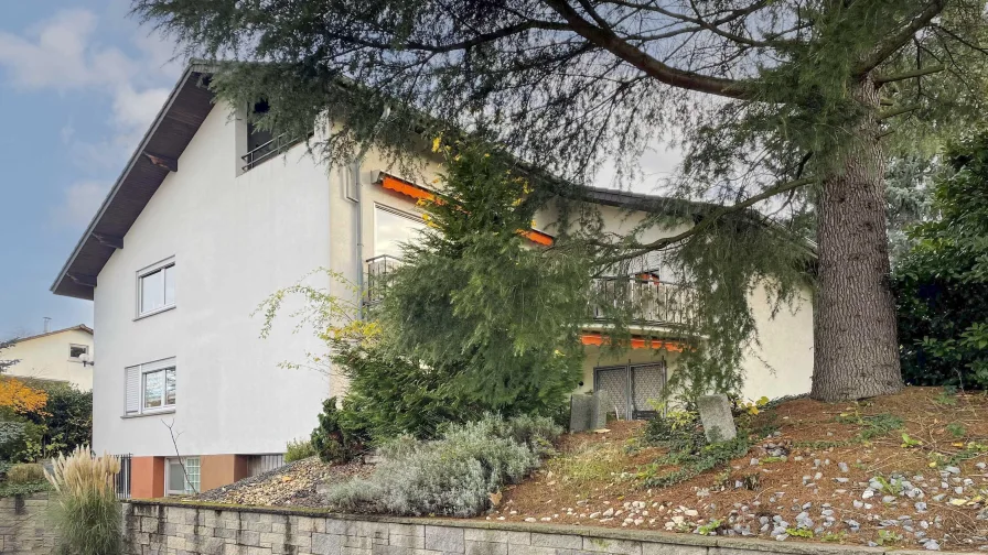 Ansicht - Haus kaufen in Weinheim - Freistehendes, großzügiges 1- bis 2-Familienhaus mit Potenzial in begehrter Wohnlage von Weinheim