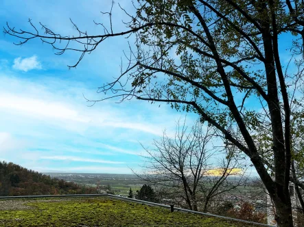 Aussicht - Grundstück kaufen in Schriesheim - Großzügiges Baugrundstück mit unvergleichbarer Aussicht