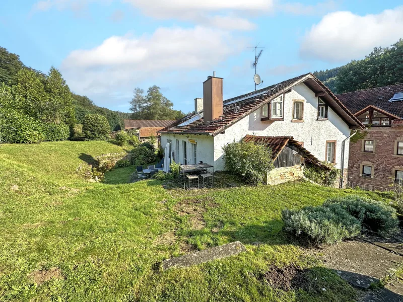 Hausansicht mit Garten - Haus kaufen in Neckargemünd - Neckargemünd: Großzügiges-Freistehendes Ein/Zweifamilienhaus mit Charme und schönem Garten