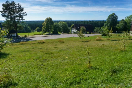 1 - Grundstück kaufen in Eisenbach - TRAUM BAUPLATZ IM HOCHSCHWARZWALD auf 1000 m ü. NN mit Schweizer Alpenblick: EFH/Ferienhaus/Bungalow