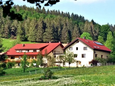 Außenansicht - Haus kaufen in Ibach - Idyllisches Wohnhaus und Gästehaus