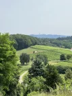 Feldberg Sicht