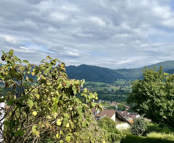 Weitblick Terrasse