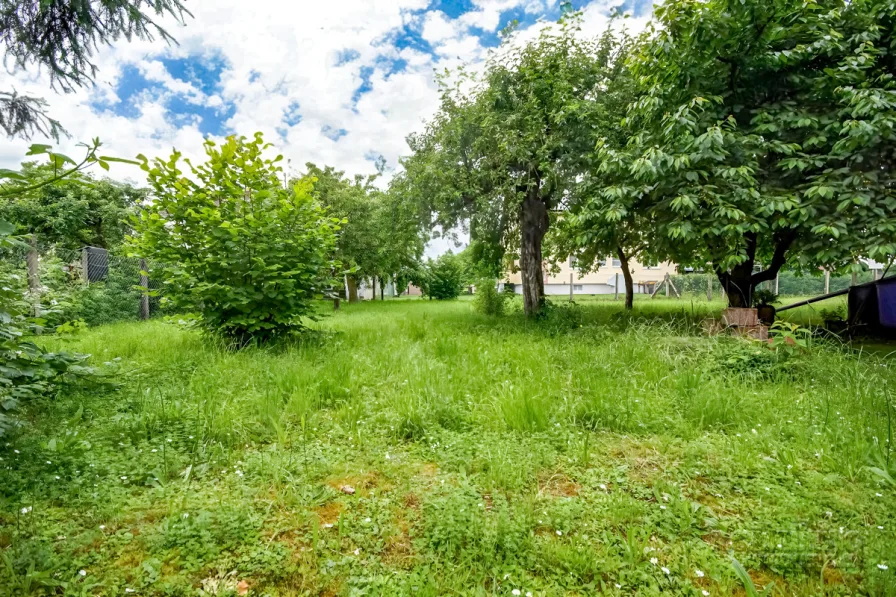 Sehr großer Garten mit Obstbäumen