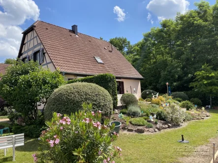 Hausansicht - Haus kaufen in Marienthal - Genießen Sie die Ruhe: Haus am Waldrand in Marienthal (Elsass)