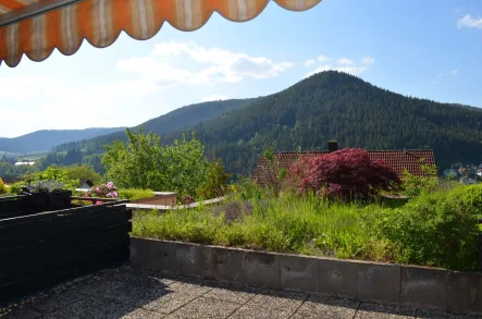 Terrasse - Wohnung kaufen in Baiersbronn-Klosterreichenbach - Vollständig modernisierte Studiowohnung mit Terrasse