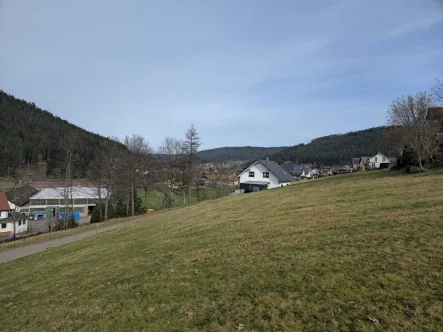 Ausblick nach Nord-Ost - Grundstück kaufen in Baiersbronn-Klosterreichenbach - Sofort bebaubares Grundstück mit Ausblick