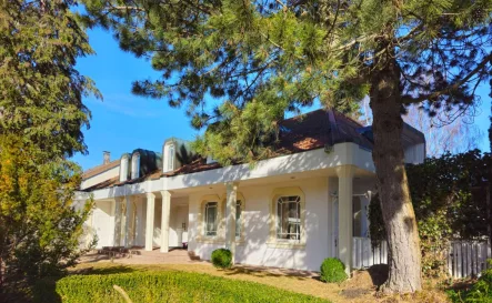 Hausansicht  - Haus kaufen in Freudenstadt - Einzigartige Villa in Freudenstadt-Herrenfeld